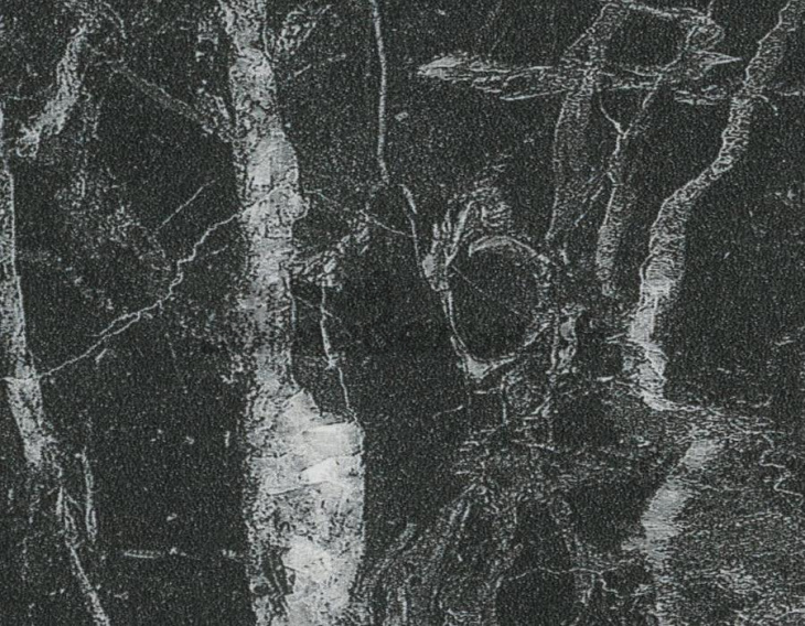 Столешница Duropal HPL Compact 63028 CM фото 1